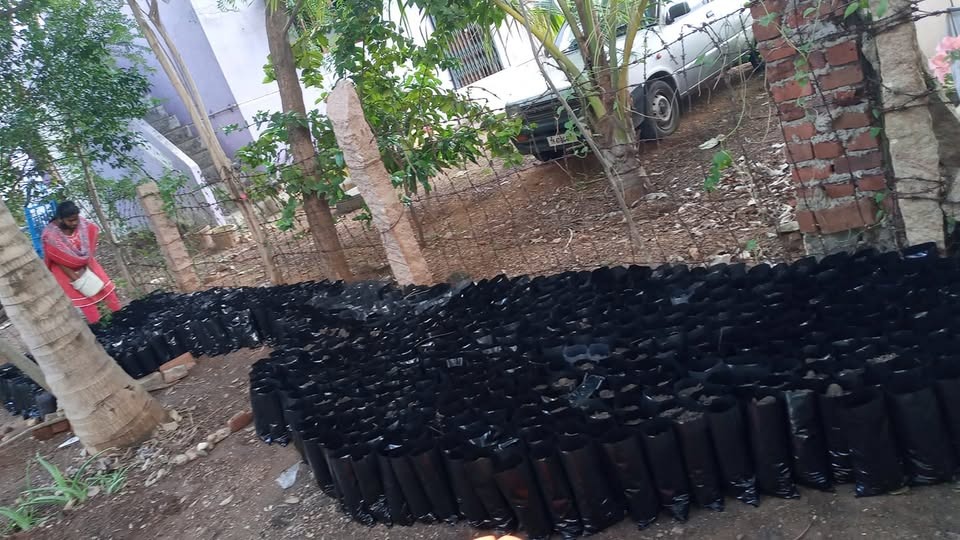 Environmental Activities